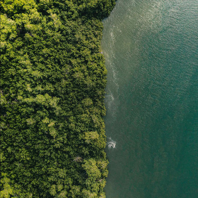 «Contrastes», Reserva de Biosfera del Noroeste Amotapes-Manglares – Julio César Sócola Infante (Tumbes).
